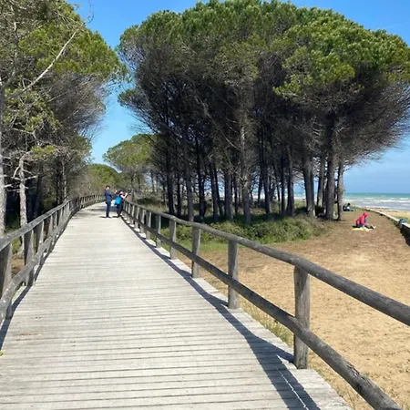 Апартаменты Sea View In